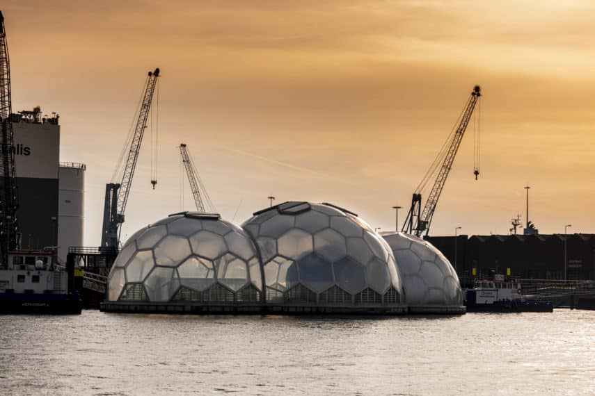 Hogeschool Rotterdam | Drijvend Paviljoen